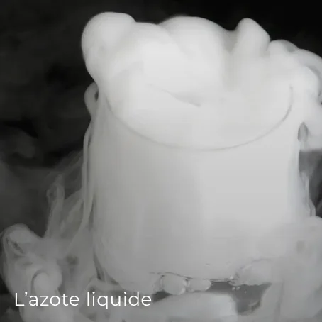 Live cooking - Animations sucrées : L'azote liquide