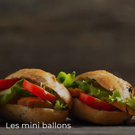 Lunches & sandwiches : les sandwiches à la carte - Les mini ballons