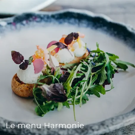 menu Harmonie