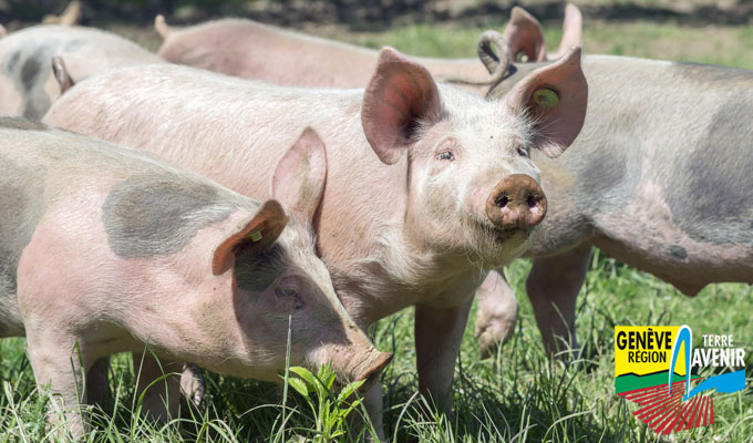 Domaine du Château du Crest