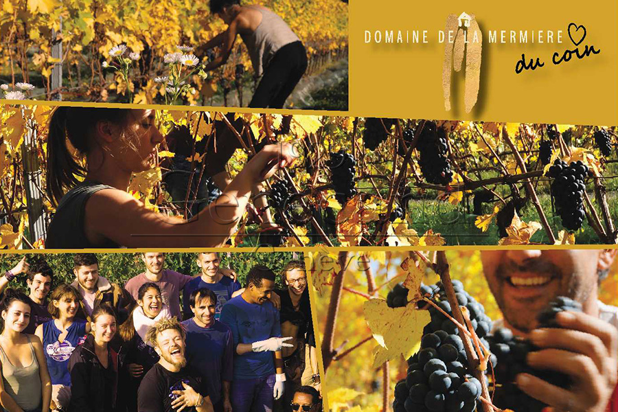 Slide #5 Slide background