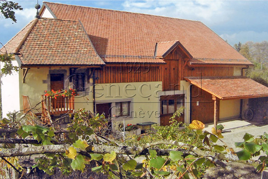 Slide #6 Slide background