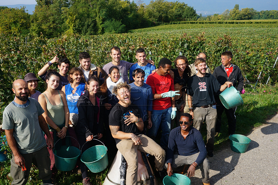 Slide #7 Slide background