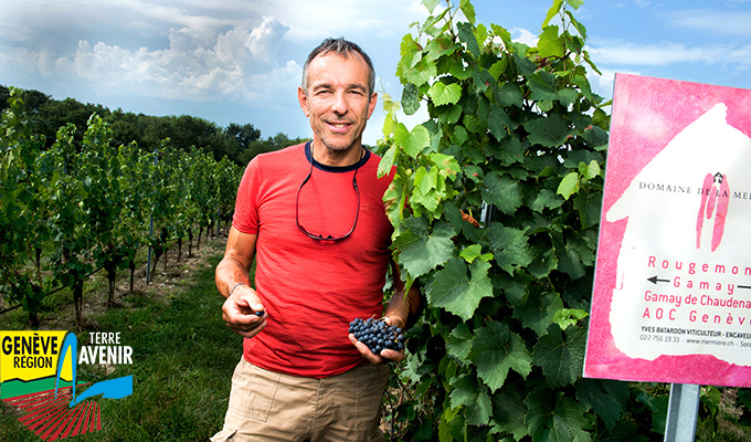 Domaine de la Mermière