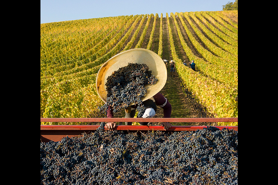 Slide #3 Slide background