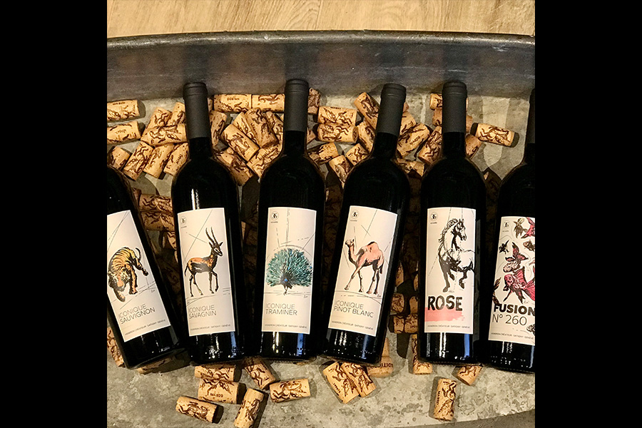 Slide #8 Slide background