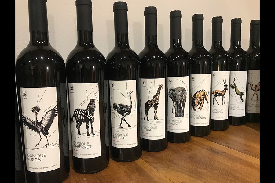 Slide #9 Slide background