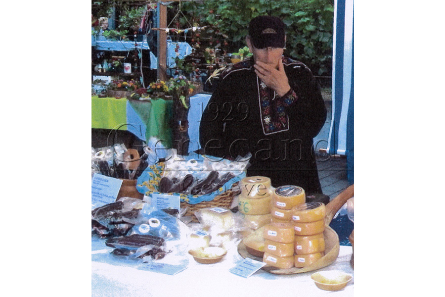 Slide #6 Slide background