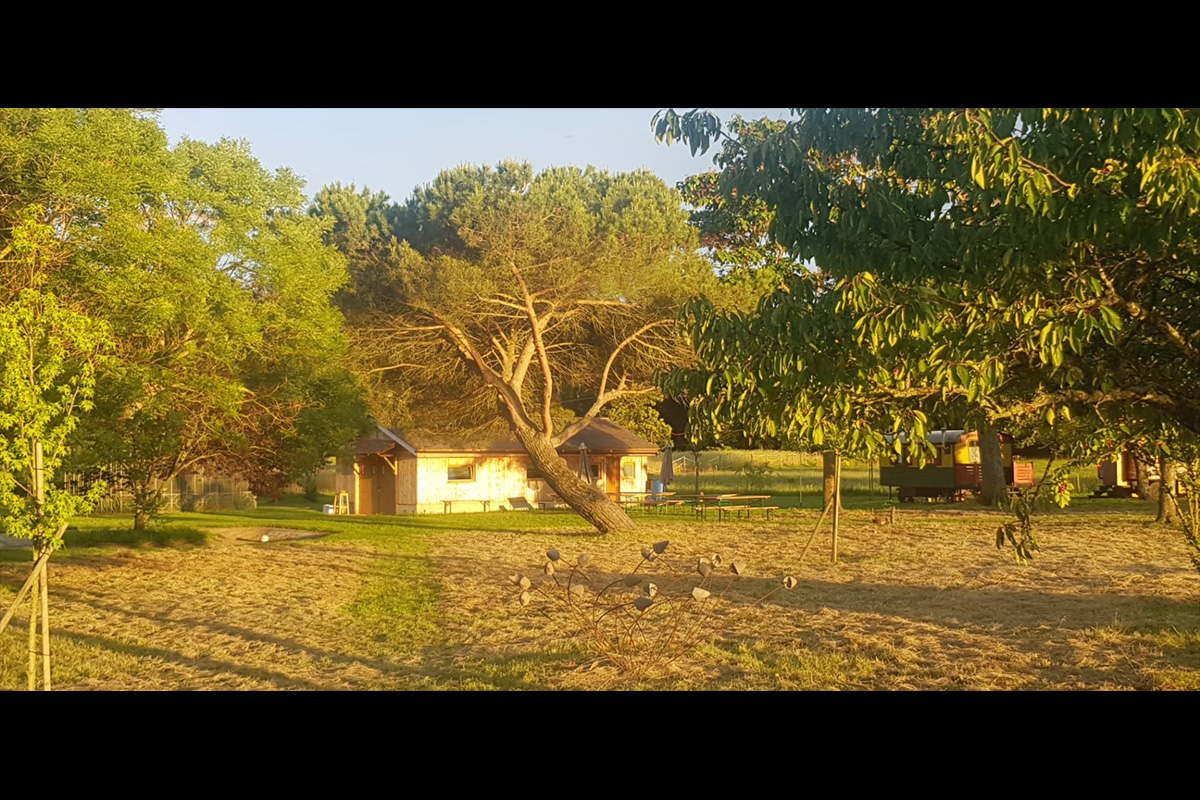 Slide #5 Slide background