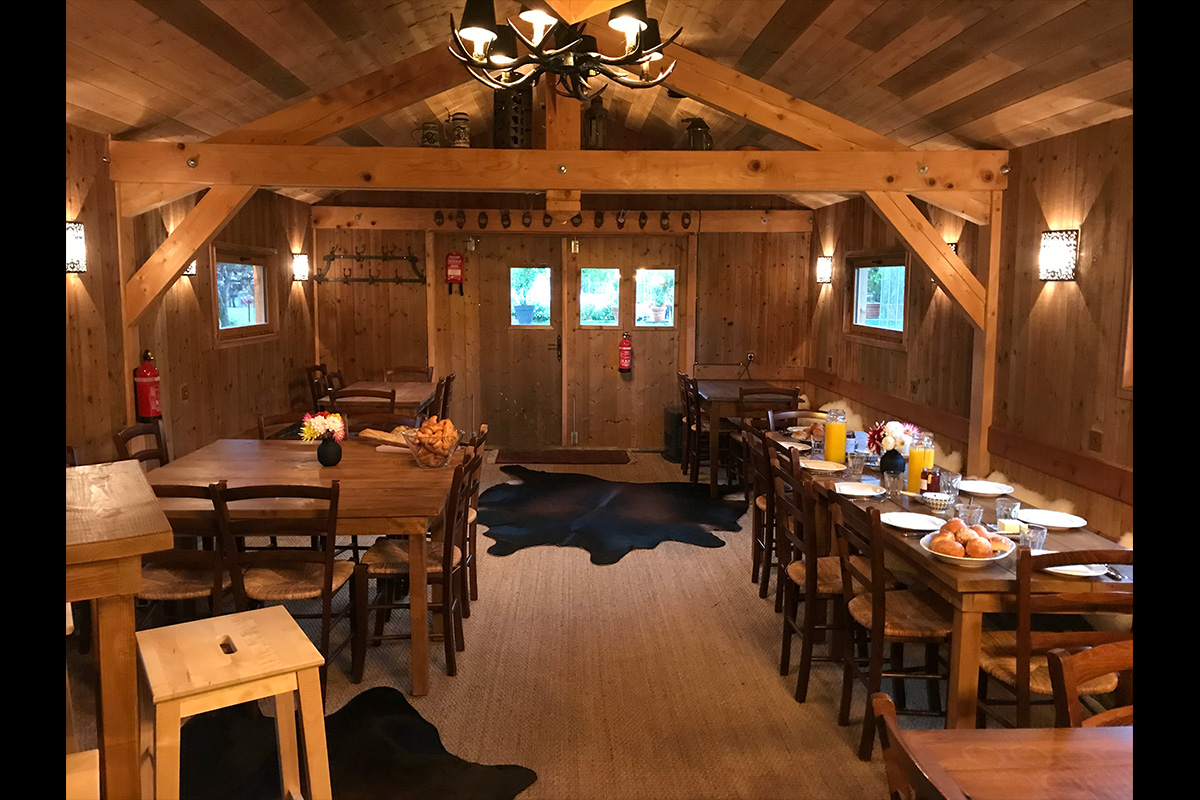 Slide #12 Slide background