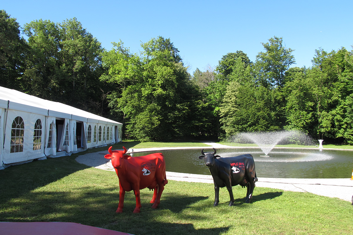 Slide #4 Slide background