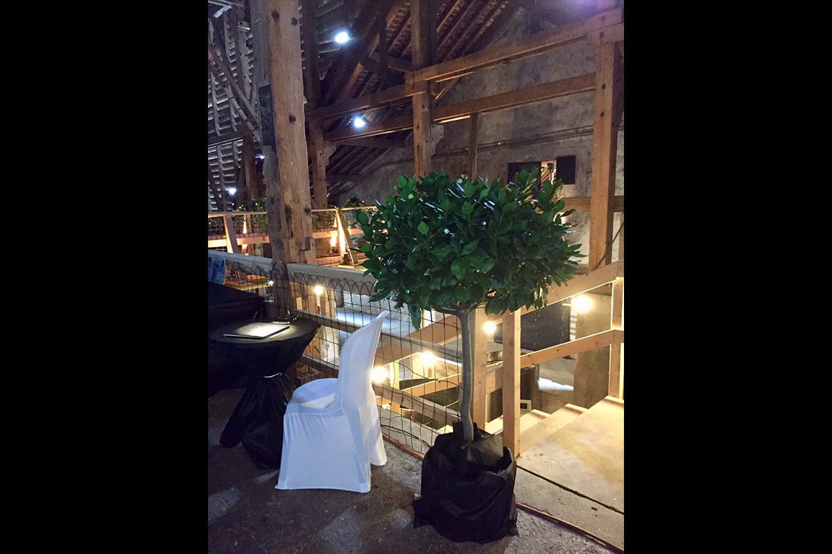 Slide #5 Slide background