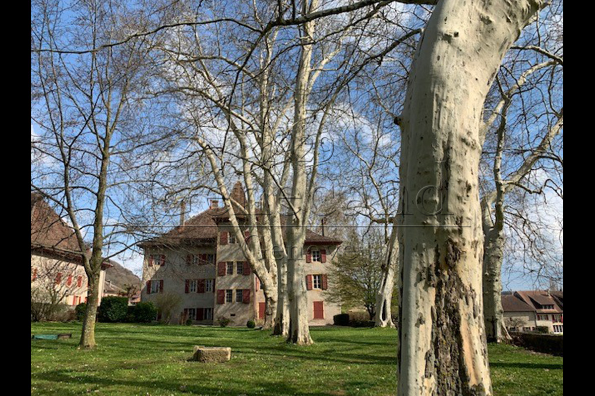 Slide #1 copie Slide background