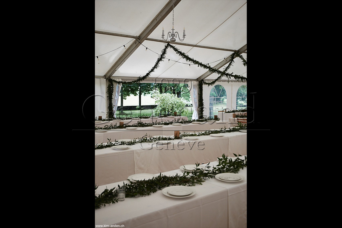 Slide #5 Slide background