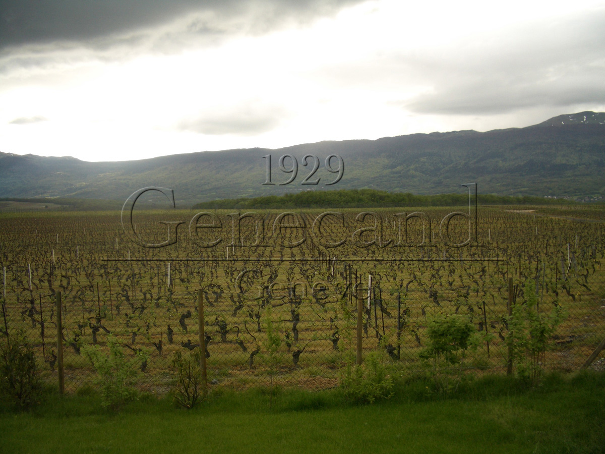 Slide #12 copie Slide background