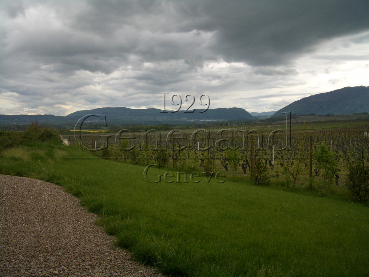 Slide #14 Slide background