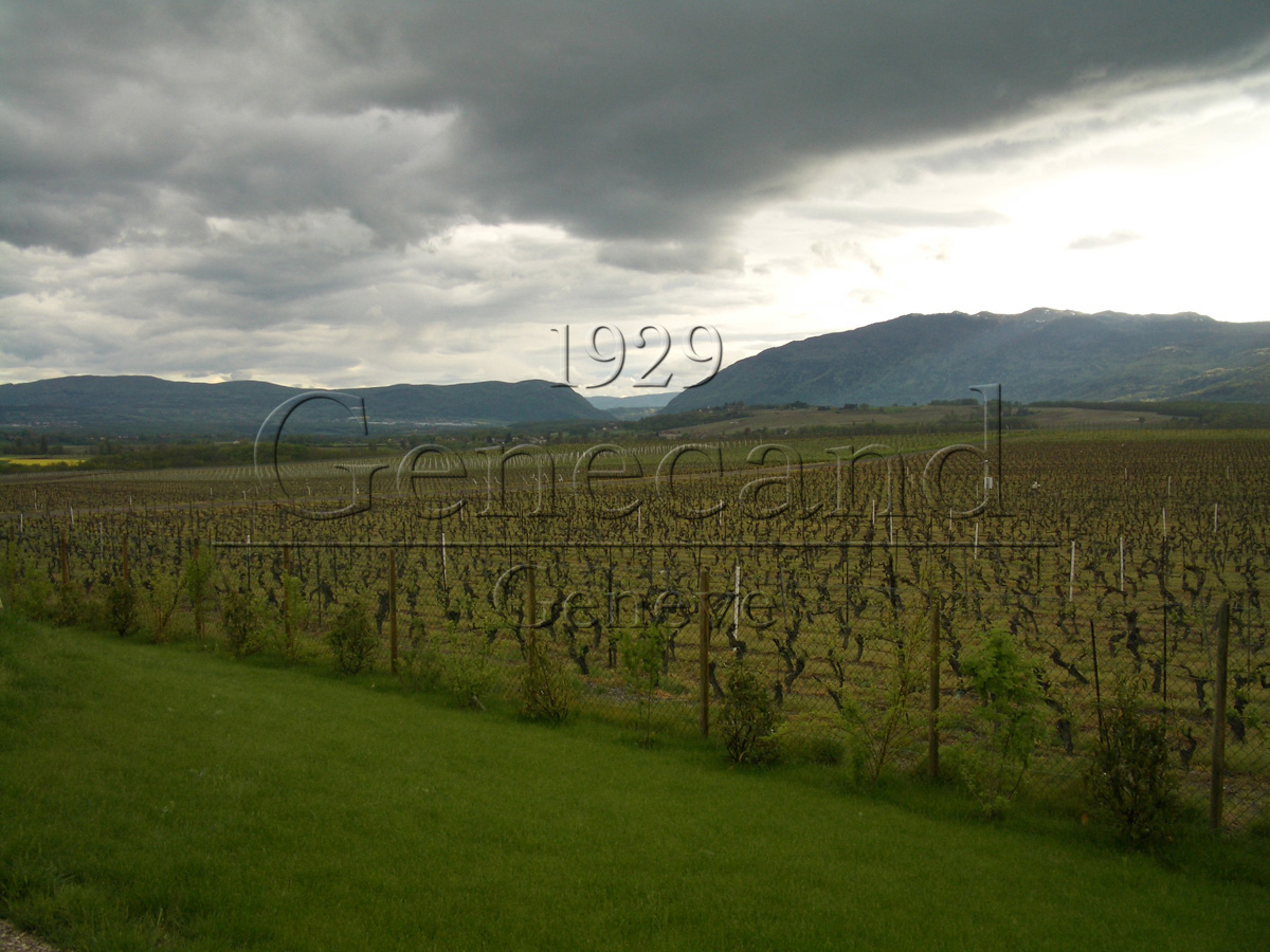 Slide #16 Slide background