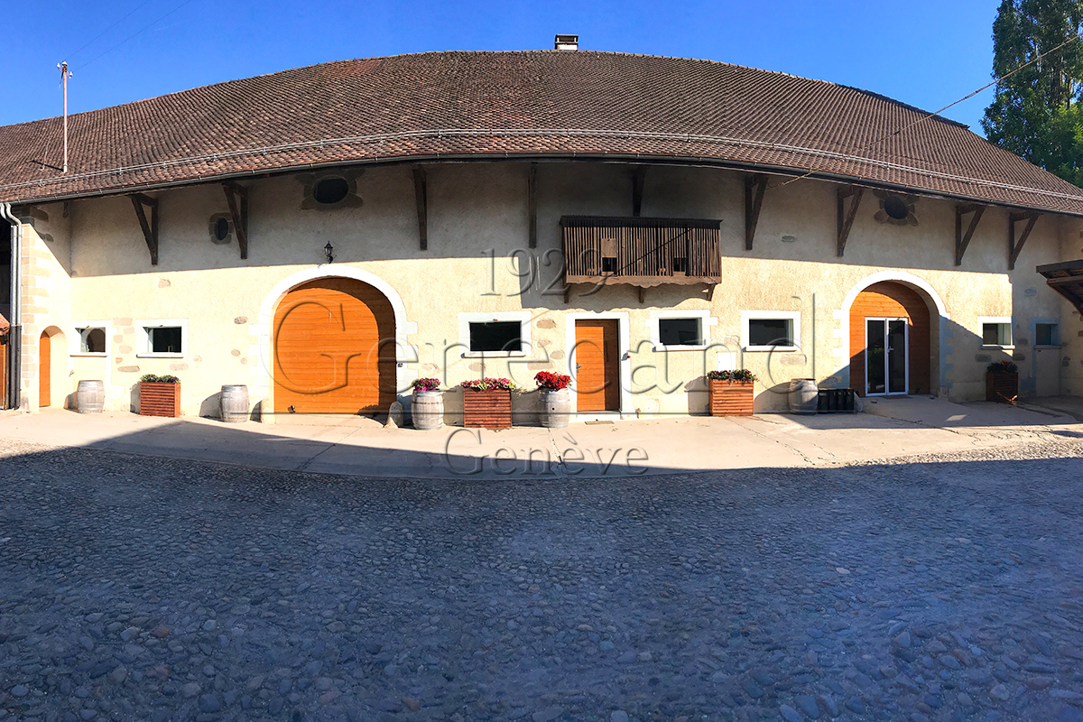 Slide #10 Slide background