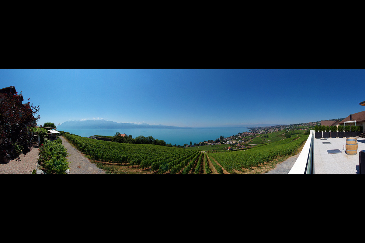 Slide #6 Slide background