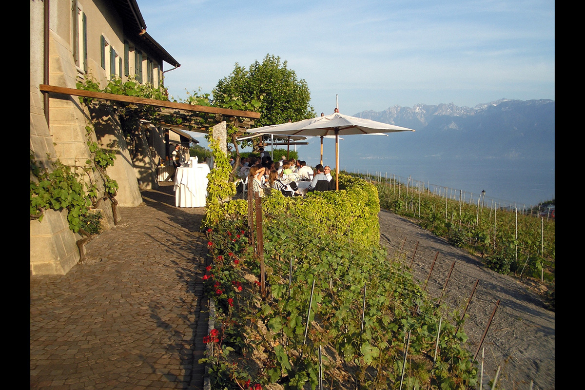 Slide #7 Slide background