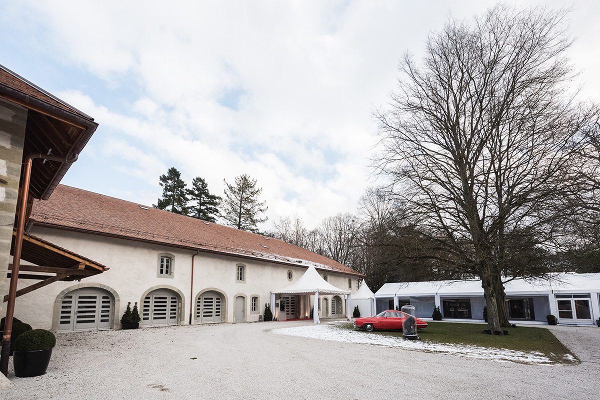 Slide #8 Slide background