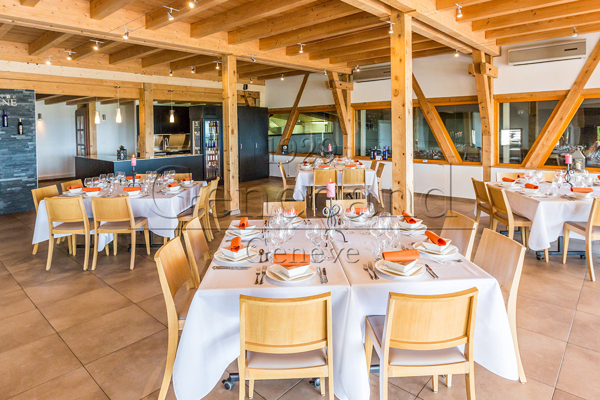 Slide #7 Slide background