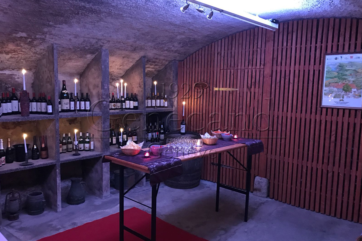 Slide #5 Slide background