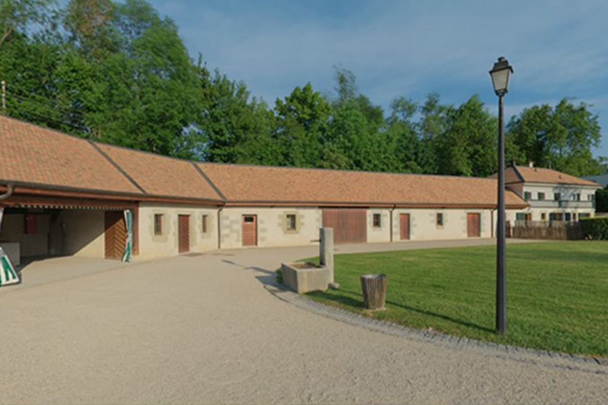 Slide #7 Slide background