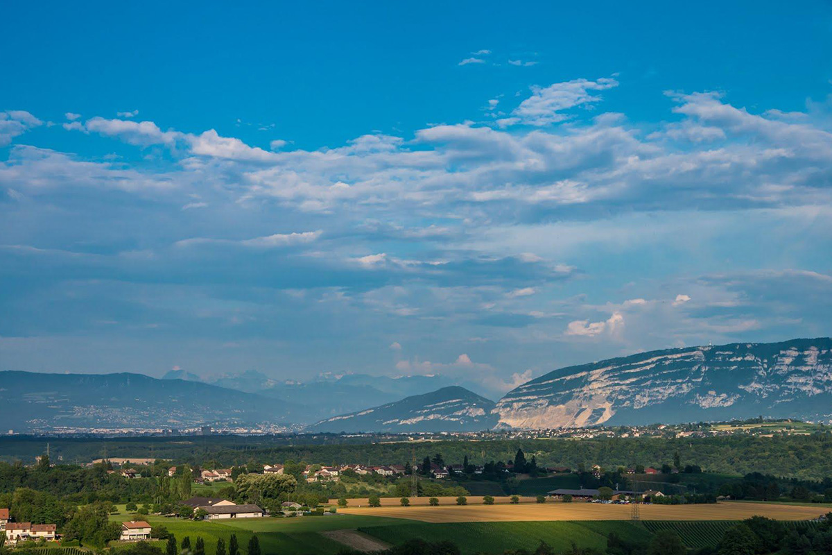 Slide #8 Slide background