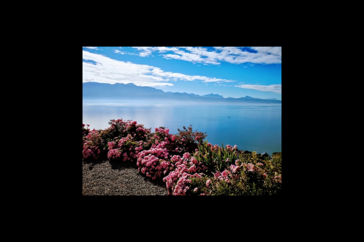 Slide #7 Slide background