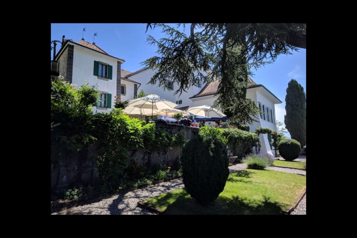 Slide #8 Slide background