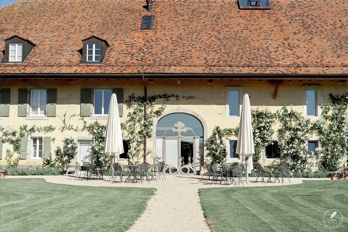 Slide #7 Slide background