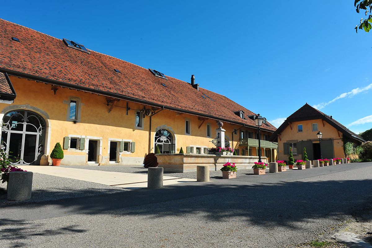 Slide #8 Slide background