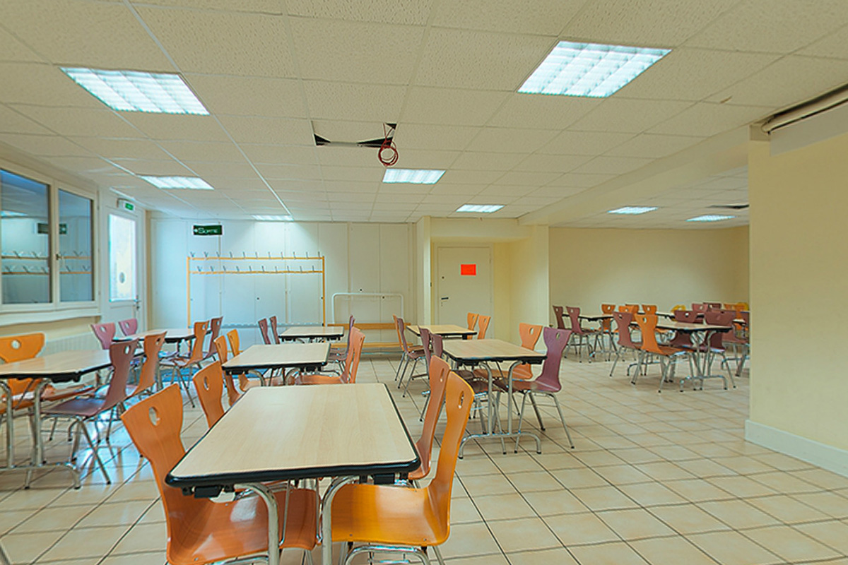 Slide #8 Slide background