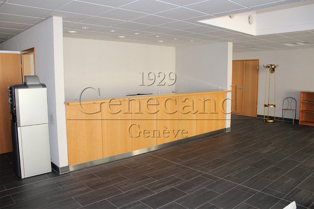 Slide #7 Slide background