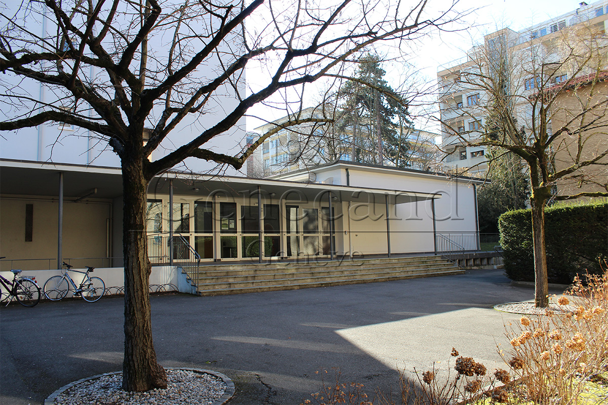 Slide #5 Slide background