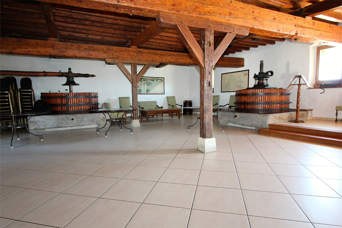 Slide #6 Slide background